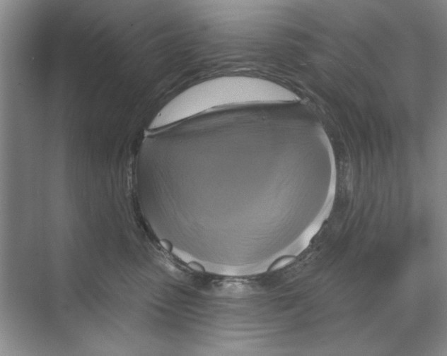 X0000068840475200606021713