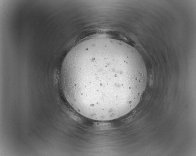 X0000068840476200606021713