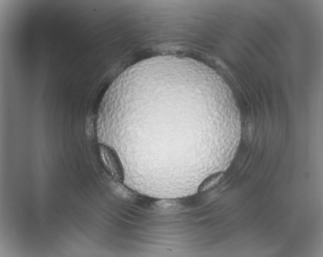 X0000068840477200606021713