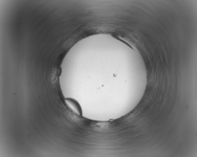 X0000068840478200606021713