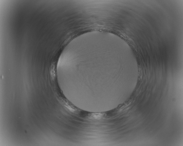 X0000068840479200606021713