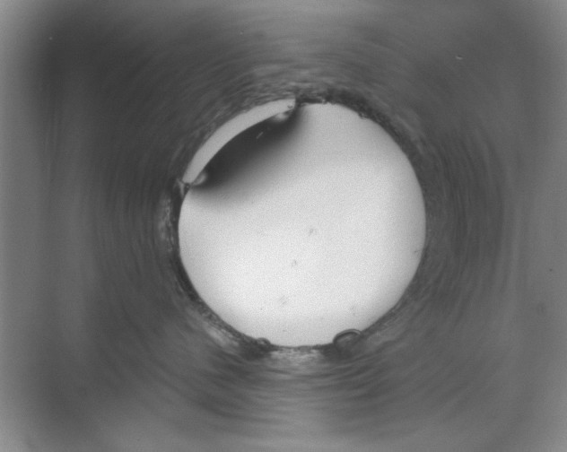 X0000068840480200606021713