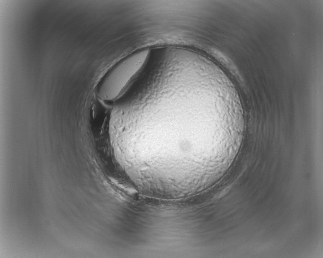 X0000068840481200606021713