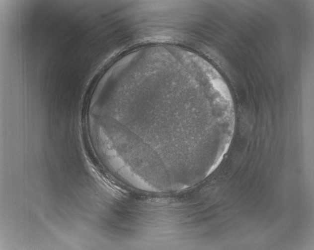 X0000068840482200606021713