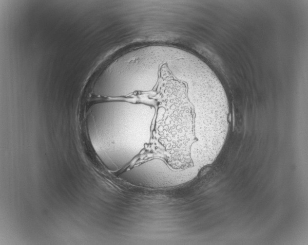 X0000068840483200606021713