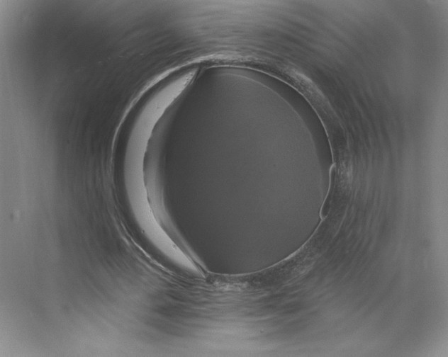 X0000068840484200606021713