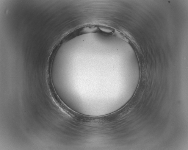 X0000068840485200606021713