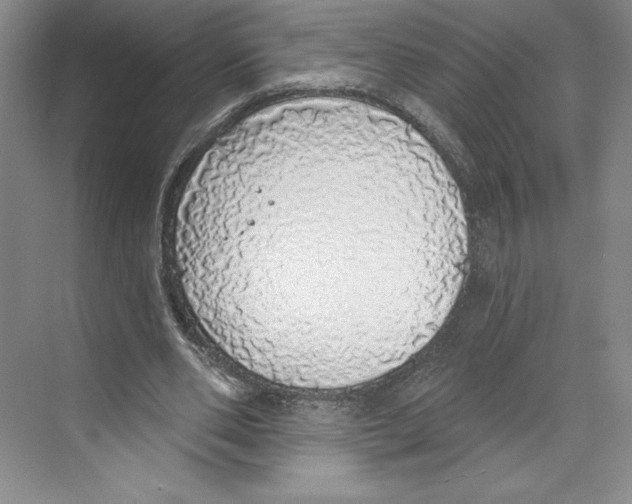 X0000068840486200606021713