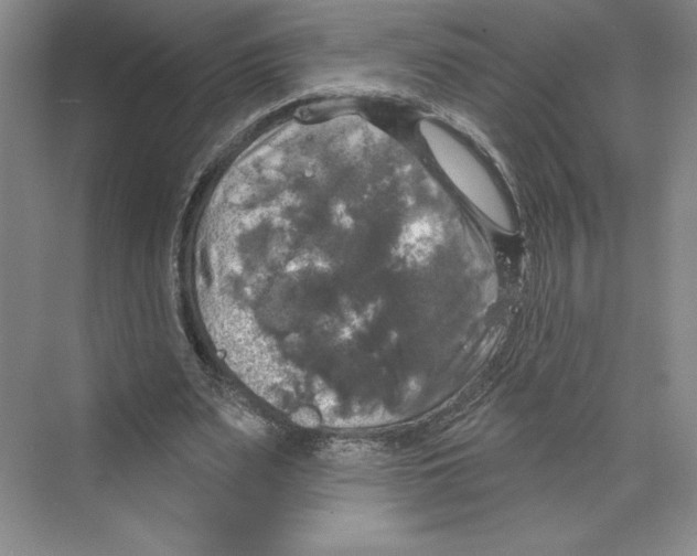 X0000068840487200606021713