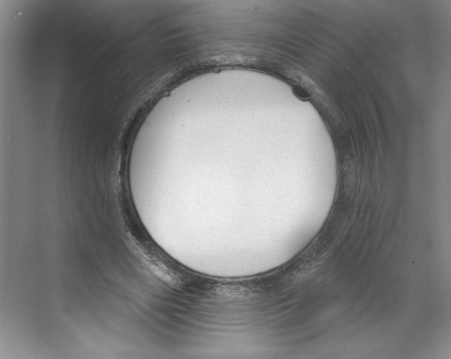 X0000068840490200606021712