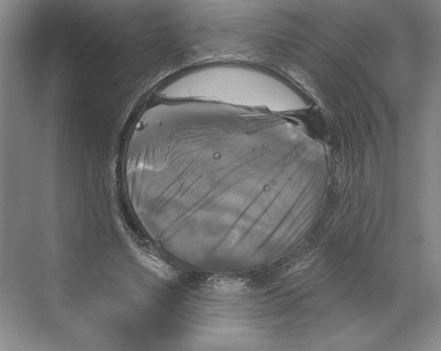 X0000068840491200606021712