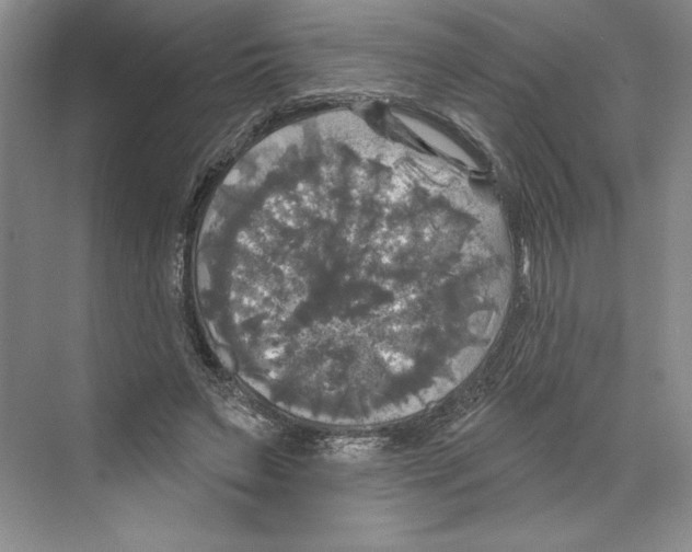 X0000068840495200606021712