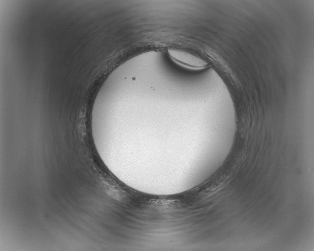 X0000068840497200606021712