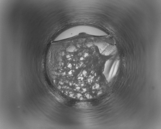 X0000068840499200606021712