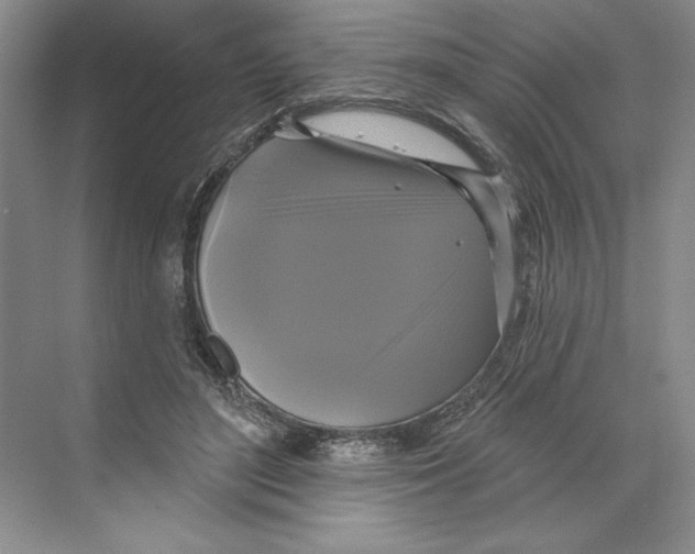 X0000068840500200606021712