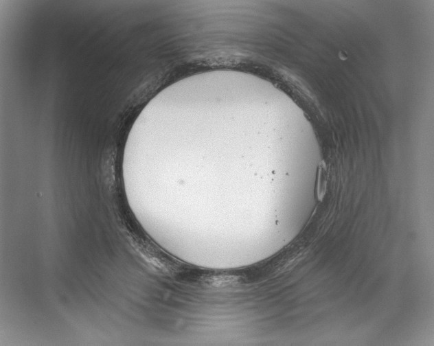 X0000068840501200606021712