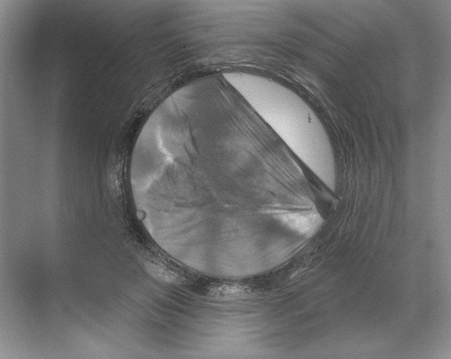 X0000068840503200606021712