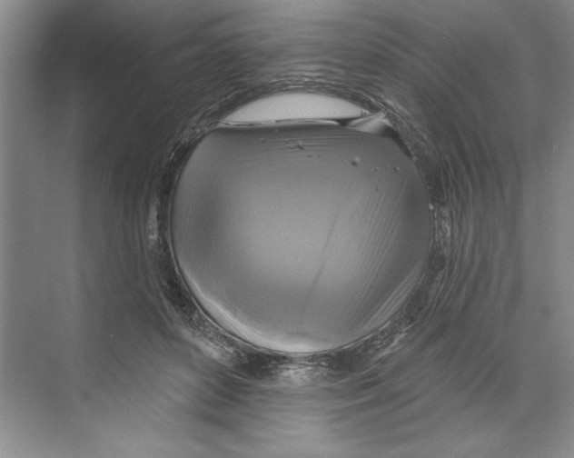 X0000068840504200606021712