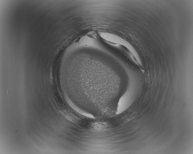 X0000068840508200606021712