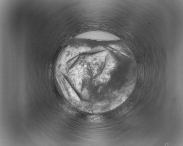 X0000068840511200606021712