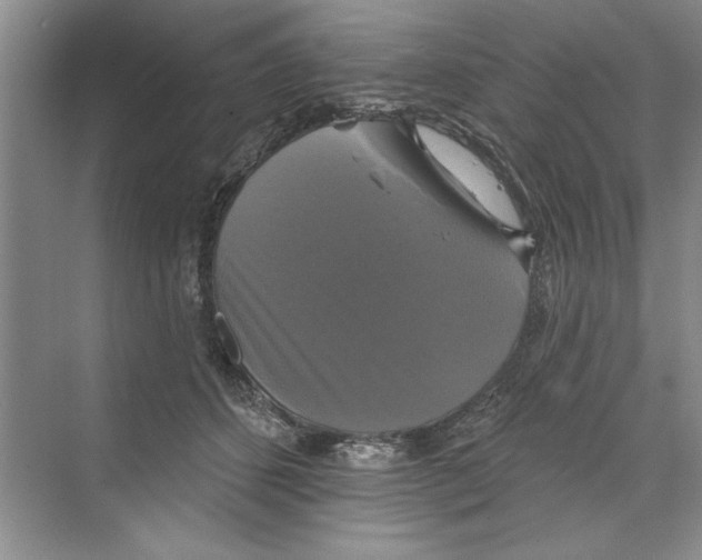 X0000068840512200606021712