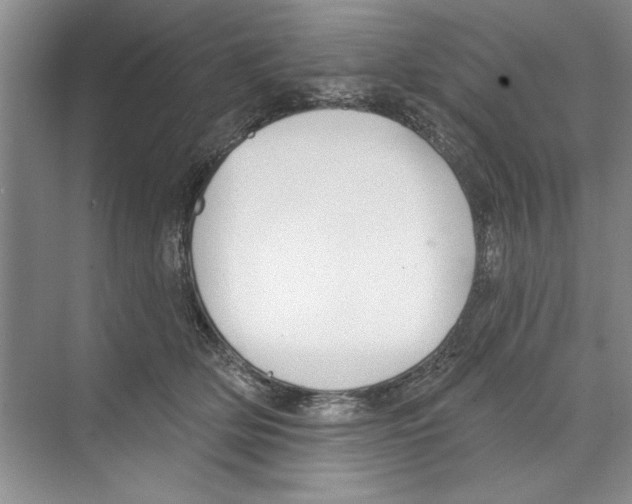 X0000068840514200606021712