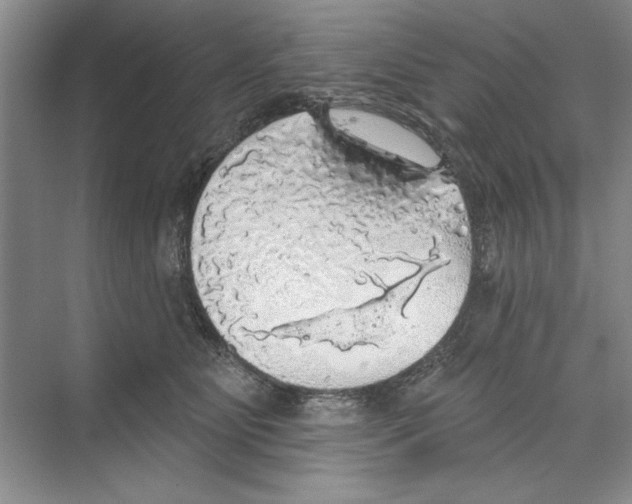 X0000068840515200606021712