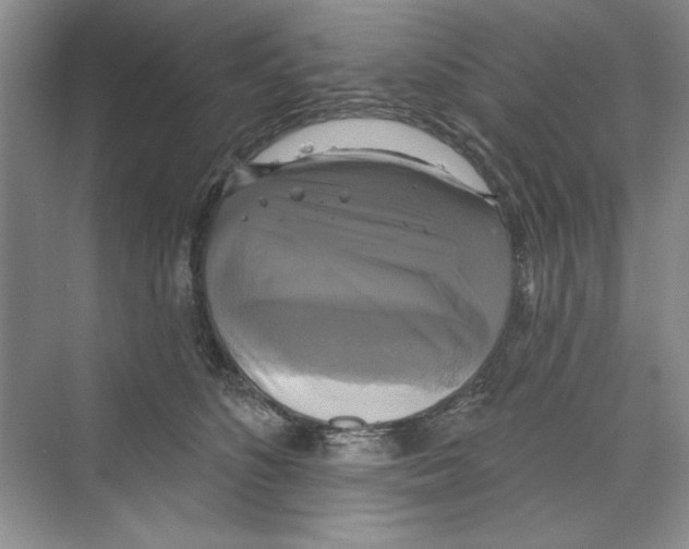 X0000068840516200606021712