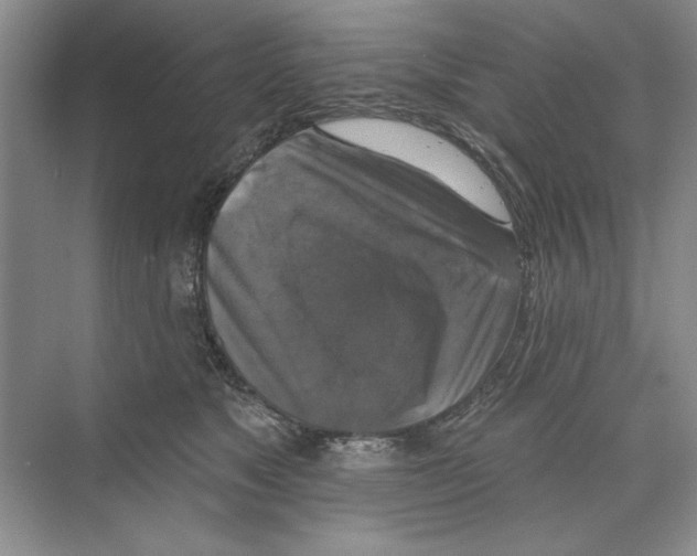 X0000068840517200606021712