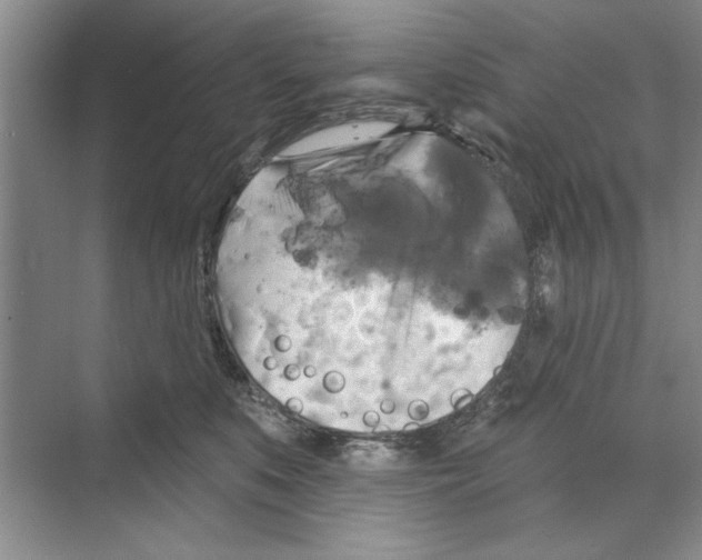 X0000068840519200606021712