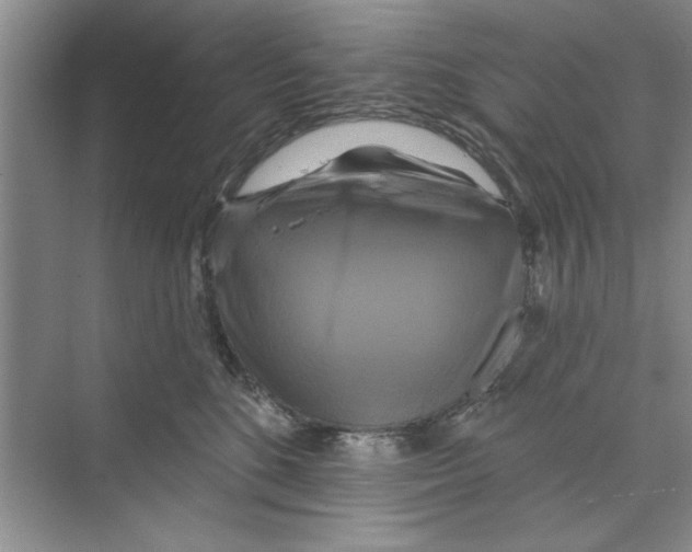 X0000068840520200606021712