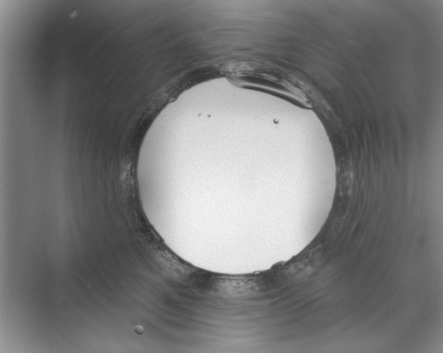 X0000068840521200606021712