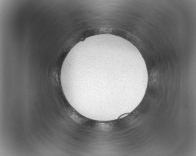 X0000068840522200606021712