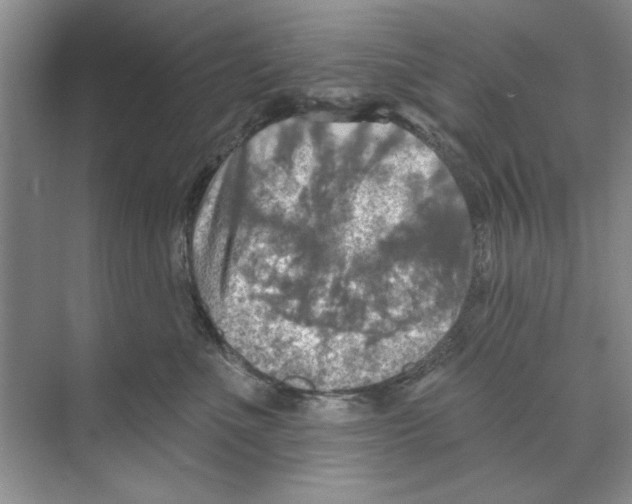 X0000068840523200606021712