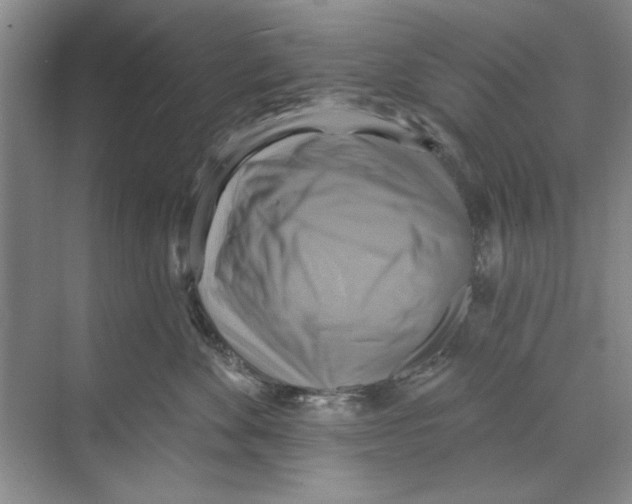 X0000068840524200606021712