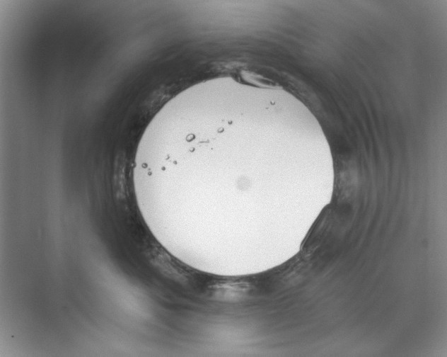 X0000068840525200606021712