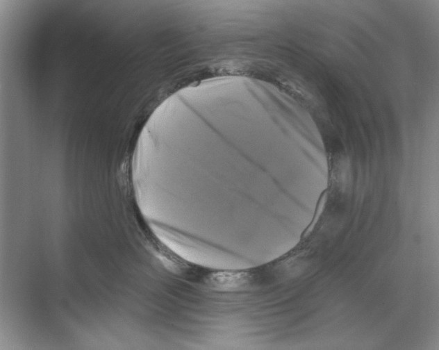 X0000068840526200606021712