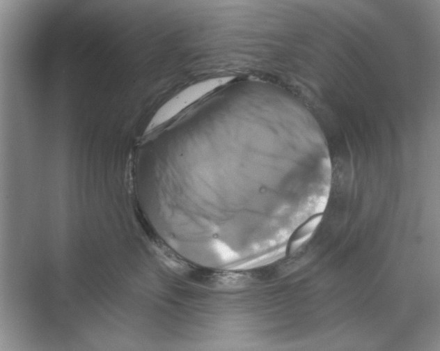 X0000068840527200606021712