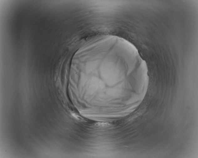 X0000068840528200606021712