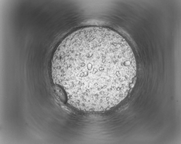 X0000068840529200606021711