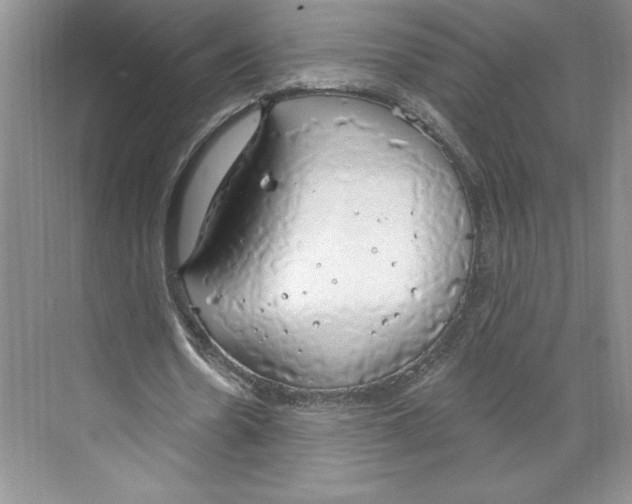 X0000068840530200606021711