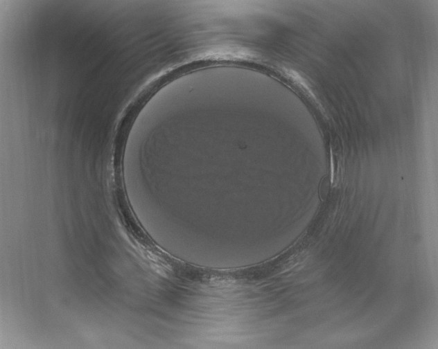 X0000068840531200606021711