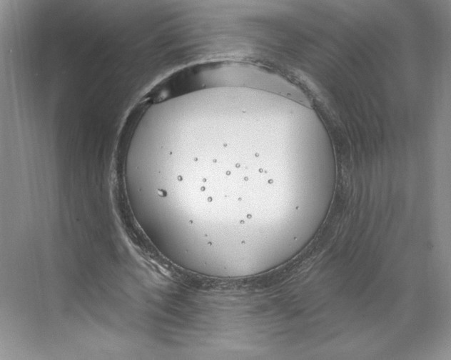 X0000068840532200606021711