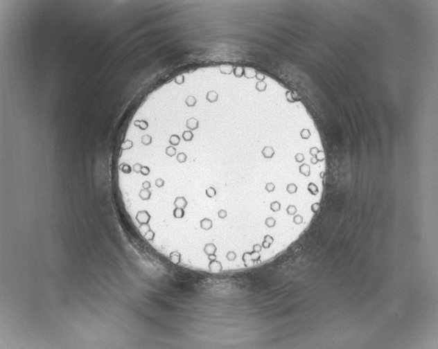 X0000068840534200606021711