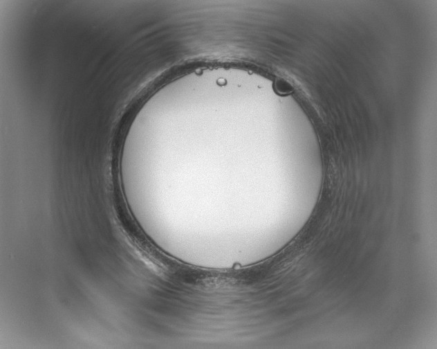 X0000068840535200606021711