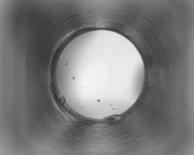 X0000068840536200606021711