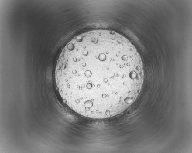 X0000068840537200606021711