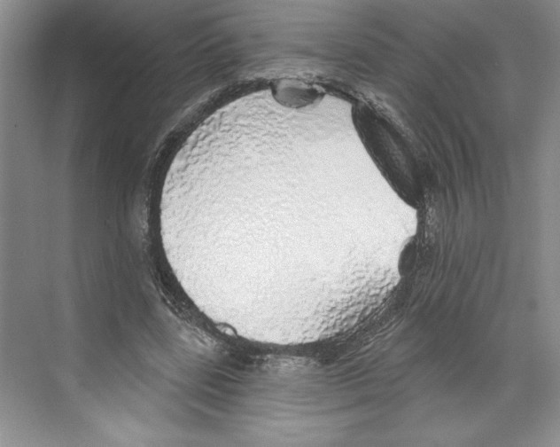 X0000068840539200606021711