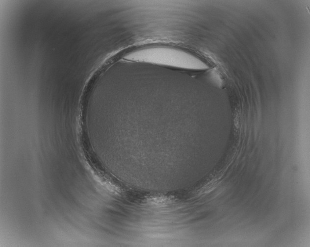 X0000068840540200606021711