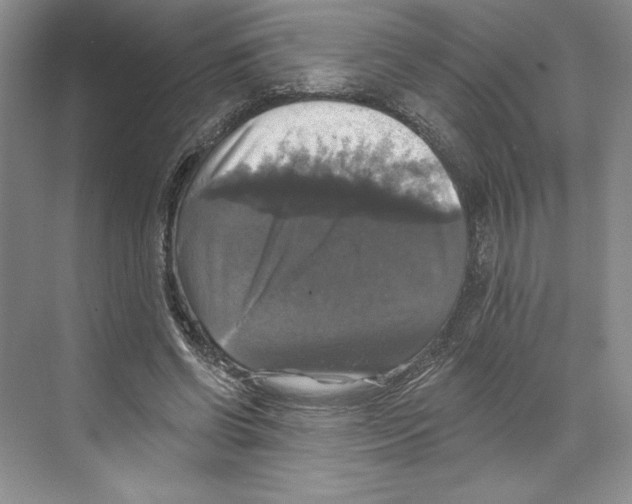 X0000068840542200606021711